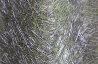 Upper Threapwood fibreglass roof work